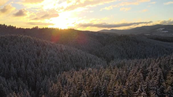 Paisaje Invierno Aéreo Con Árboles Extendidos Bosque Cubierto Nieve Montañas — Vídeos de Stock