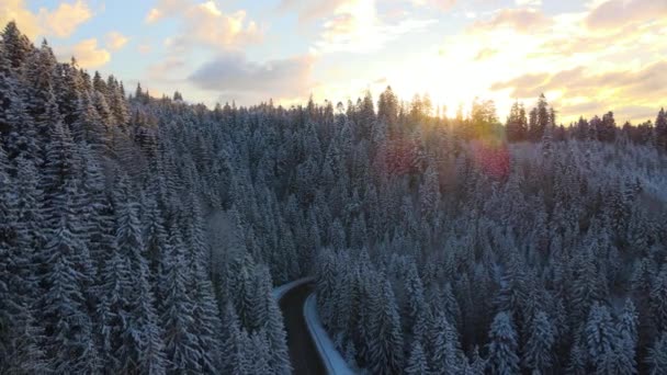 Aerial View Winter Landscape Snow Covered Mountain Hills Winding Forest — Stock Video