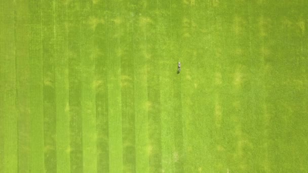 Αεροφωτογραφία Της Μικρής Μορφής Του Εργαζομένου Άνθρωπος Κλάδεμα Πράσινο Γρασίδι — Αρχείο Βίντεο