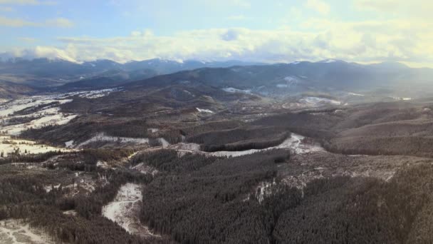 冬の暗い森の上に雪が降る不毛の山の風景の空中ビュー — ストック動画