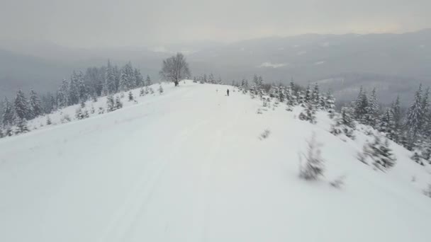 冷たい静かな夜に冬の山の森の中で大雪の後 新鮮な秋の雪で覆われた常緑の松の木と空気霧の風景 — ストック動画