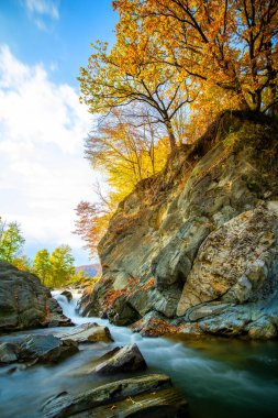 Küçük şelaleli dağ nehri, berrak turkuaz suyla, sonbahar gününde kalın beyaz köpükle ıslak kayaların arasına düşüyor..