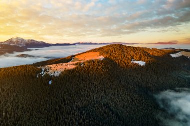 Sonbaharda yeşil ladin ormanlarıyla kaplı dağ tepelerinin üzerinde canlı gündoğumunun hava manzarası..
