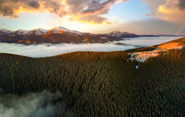 Sonbaharda Karpatlar 'ın dağlık tepelerindeki canlı gündoğumunun havadan görünüşü ebediyen yeşil ladin ormanlarıyla kaplıydı..