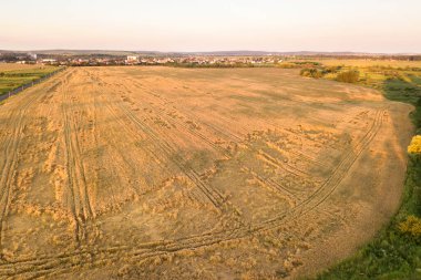 Rüzgâr buğday başları tarafından yıkılan olgun tarım alanının havadan görüntüsü hasat için hazır. Hasarlı ekinler ve tarım arızası kavramı.