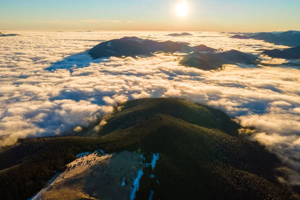 空中俯瞰着覆盖着常绿云杉林的高山上生机勃勃的日出 — 图库照片