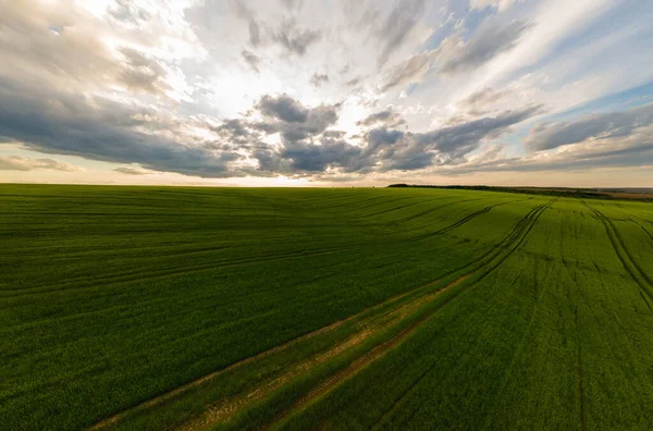 Flygfoto Landskap Utsikt Över Gröna Odlade Jordbruksfält Med Växande Grödor — Stockfoto