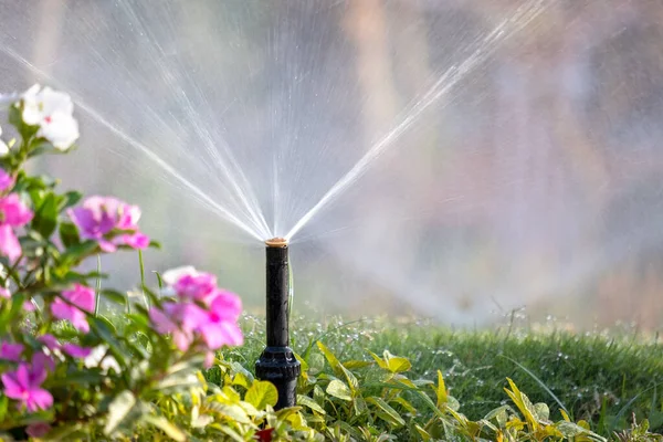 Kunststoff Beregnungsanlage Beet Auf Rasen Mit Wasser Sommergarten Bewässerung Der — Stockfoto