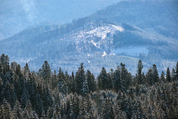 Téli Táj Fás Havas Erdőkkel Hideg Hegyekben — Stock Fotó