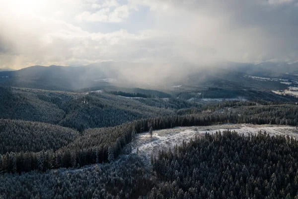 Winterlandschaft Mit Sprossen Bäumen Aus Schneebedecktem Wald Kalten Bergen — Stockfoto