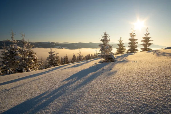 Fantastiskt Vinterlandskap Med Tallar Snötäckt Skog Kalla Dimmiga Berg Vid — Stockfoto