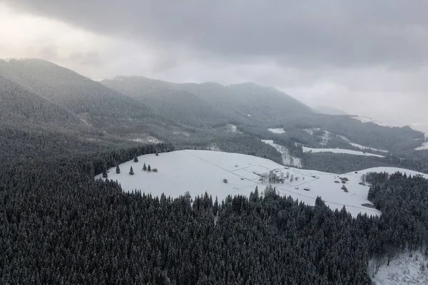 Winterlandschaft Aus Der Luft Mit Kleinen Bauernhäusern Zwischen Schneebedeckten Wäldern — Stockfoto