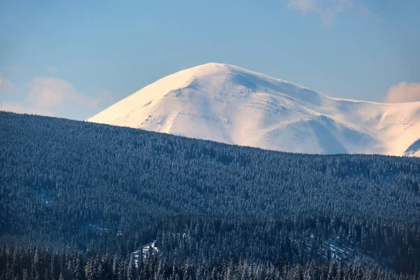 Χειμερινό Τοπίο Ψηλούς Λόφους Βουνών Καλυμμένους Αειθαλές Πευκοδάσος Μετά Από — Φωτογραφία Αρχείου