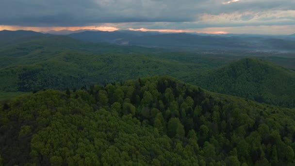 Vista Aérea Colinas Escuras Cobertas Com Pinho Misto Verde Floresta — Vídeo de Stock
