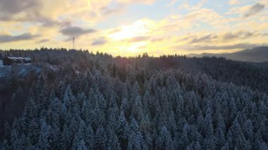 Geceleri soğuk dağlarda karla kaplı ormanlar arasında küçük köy evleri olan havadan kış manzarası..