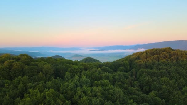Αεροφωτογραφία Του Φωτεινό Ομιχλώδες Πρωί Πάνω Από Σκοτεινά Δέντρα Δάσος — Αρχείο Βίντεο
