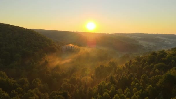 在温暖的夏日日出时分 空中看到了明亮的雾蒙蒙的清晨 笼罩着漆黑的森林树木 黎明时分野林的美丽景色 — 图库视频影像