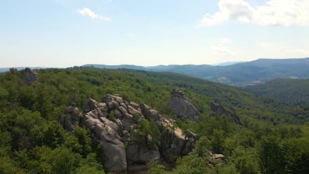 Luftaufnahme Des Dichten Grünen Waldes Auf Berghügeln Schöne Landschaft Mit — Stockvideo