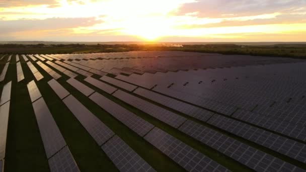 Günbatımında Temiz Ekolojik Elektrik Enerjisi Üretmek Için Sıra Sıra Güneş — Stok video