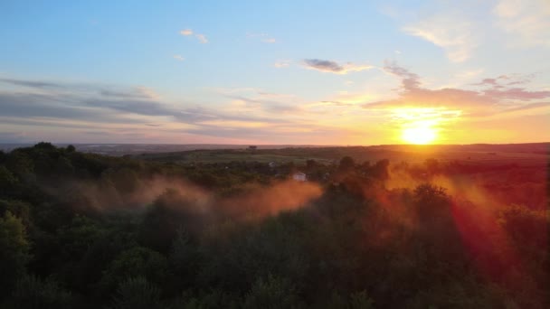 Widok Powietrza Jasną Mgłę Pokrywającą Ciemne Drzewa Leśne Zachodzie Słońca — Wideo stockowe