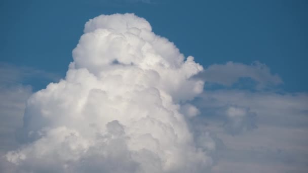 Zeitraffer Aufnahmen Von Sich Schnell Bewegenden Weißen Geschwollenen Kumuluswolken Blauen — Stockvideo