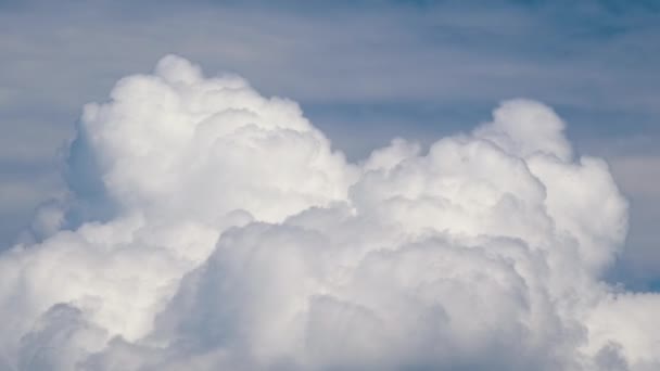 Zeitraffer Aufnahmen Von Sich Schnell Bewegenden Weißen Geschwollenen Kumuluswolken Blauen — Stockvideo