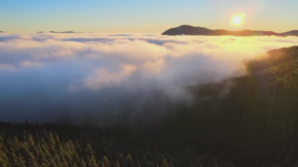 Воздушный Вид Яркого Восхода Солнца Над Горными Холмами Покрытыми Вечнозелеными — стоковое видео
