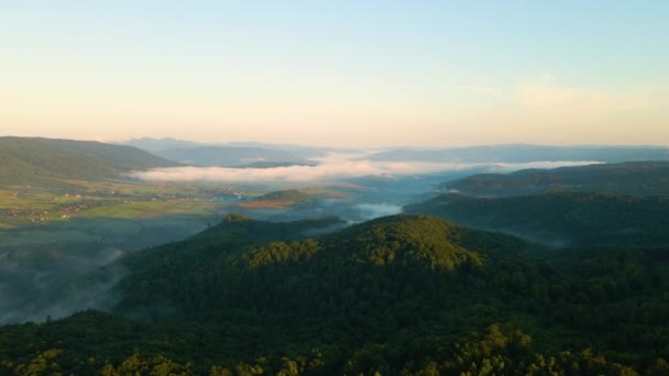 Lebendiger Nebliger Morgen Über Dunklen Waldbäumen Bei Strahlendem Sommersonnenaufgang Erstaunliche — Stockvideo