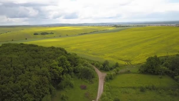 Widok Lotu Ptaka Zielone Pole Uprawne Świeżą Roślinnością Wiosną — Wideo stockowe