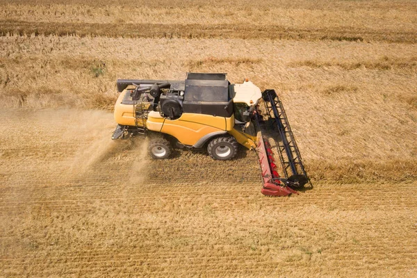 Aerial View Combine Harvester Harvesting Large Ripe Wheat Field Agriculture — Stock Photo, Image