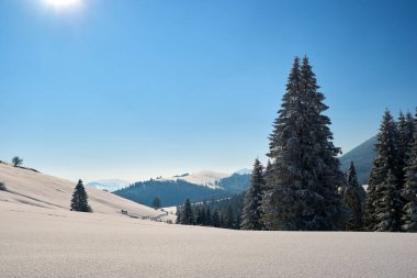 Soğuk dağlarda karla kaplı ormanların filizlendiği kış manzarası.
