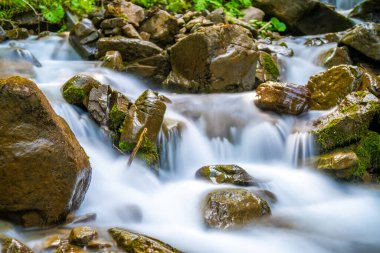 Küçük şelaleli dağ nehri berrak turkuaz suyla kalın beyaz köpüklü ıslak kayaların arasına düşüyor..
