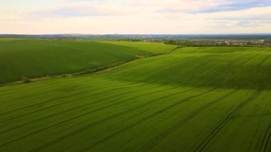 Parlak yaz gününde ekin yetiştiren, ekili tarım arazilerinin havadan manzarası.