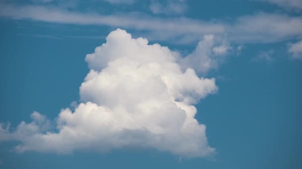 Запись Быстрого Движения Белых Пухлых Кучевых Облаков Голубом Ясном Небе — стоковое видео