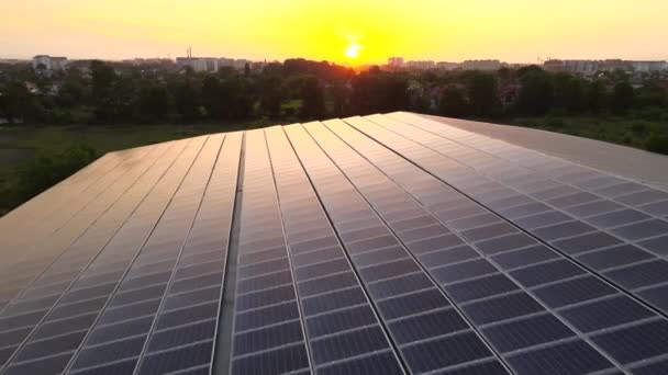 Mavi Fotovoltaik Güneş Panelleri Gün Batımında Temiz Ekolojik Elektrik Üretmek — Stok video