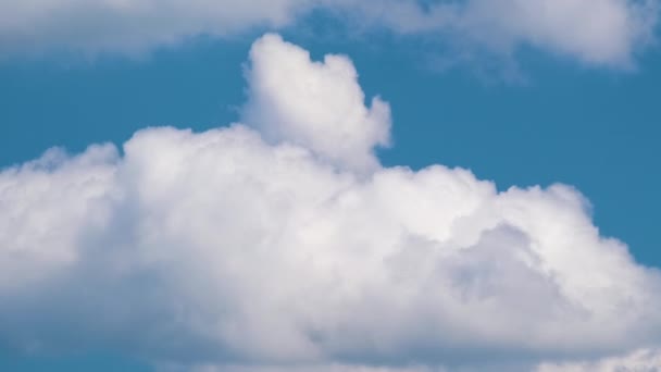 Images Temporelles Cumulus Blancs Gonflés Déplaçant Rapidement Sur Ciel Bleu — Video