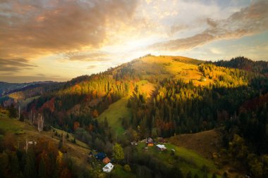Günbatımında Ukrayna Karpatlar 'daki sonbahar ormanları arasında geniş çayırlardaki küçük çoban evlerinin havadan görünüşü.