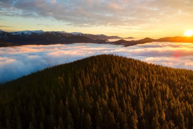 Sonbaharda yeşil ladin ormanlarıyla kaplı dağ tepelerinin üzerinde canlı gündoğumunun hava manzarası..