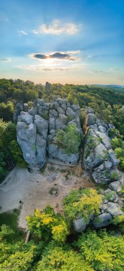 Parlak manzaranın panoramik manzarası. Yazın sık ağaçlar arasında yeşil orman ağaçları ve büyük kayalık kayalar. Vahşi ormanın güzel manzarası.