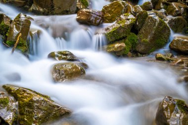 Küçük şelaleli dağ nehri berrak turkuaz suyla kalın beyaz köpüklü ıslak kayaların arasına düşüyor..