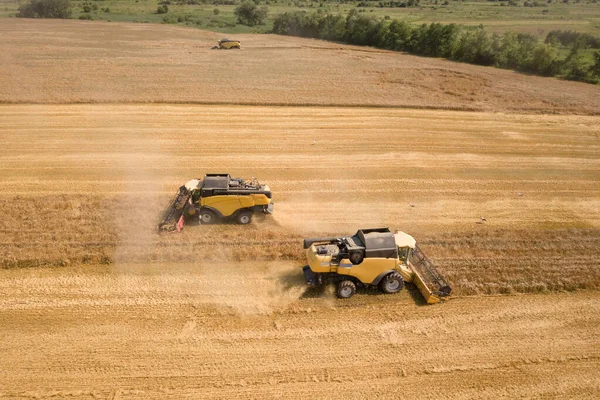 Vista Aerea Mietitrebbie Raccolta Grande Campo Grano Giallo Maturo — Foto Stock