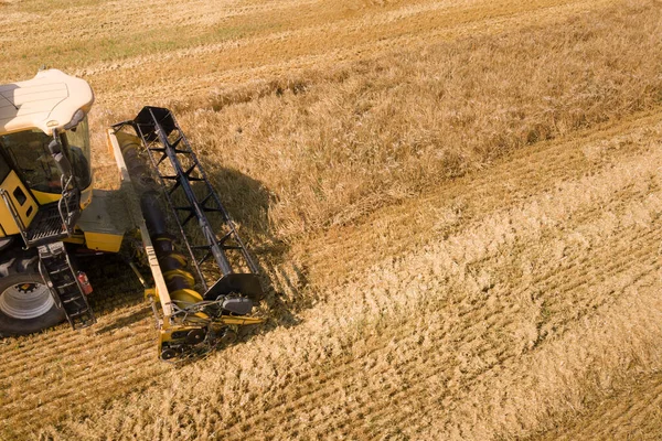 Luftaufnahme Eines Mähdreschers Bei Der Ernte Eines Großen Reifen Weizenfeldes — Stockfoto