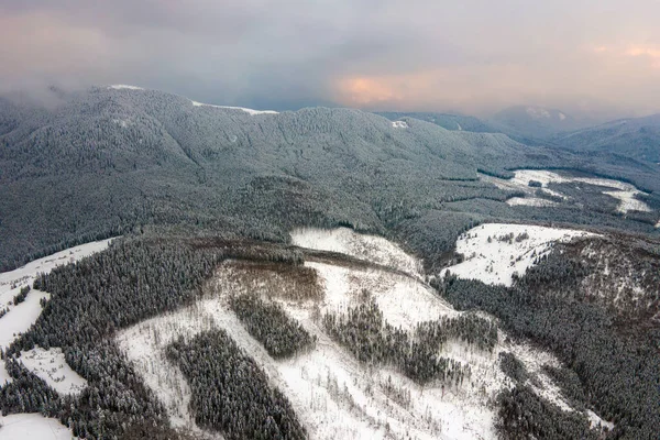 Вид Воздуха Бесплодный Зимний Пейзаж Горными Холмами Покрытыми Вечнозеленым Сосновым — стоковое фото