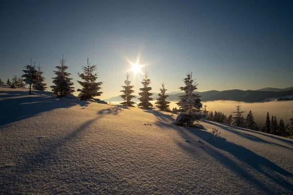 Fantastiskt Vinterlandskap Med Tallar Snötäckt Skog Kalla Dimmiga Berg Vid — Stockfoto