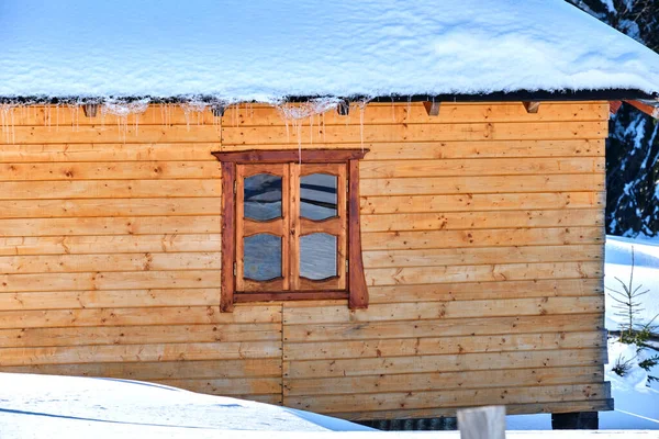 Небольшой Деревянный Дом Покрытый Свежим Выпавшим Снегом Окруженный Высокими Соснами — стоковое фото