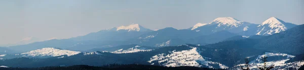 Paisaje Invernal Con Árboles Extendidos Bosque Cubierto Nieve Montañas Frías —  Fotos de Stock