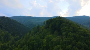 Bulutlu bir akşamda yoğun yeşil yemyeşil ağaçlarla kaplı dağ tepelerinin hava manzarası..