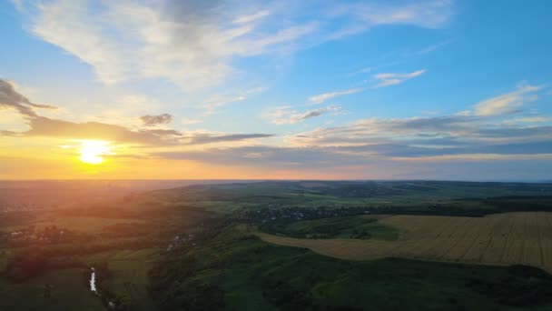 Luftbild Von Gelb Kultivierten Landwirtschaftlichen Feld Mit Reifem Weizen Einem — Stockvideo