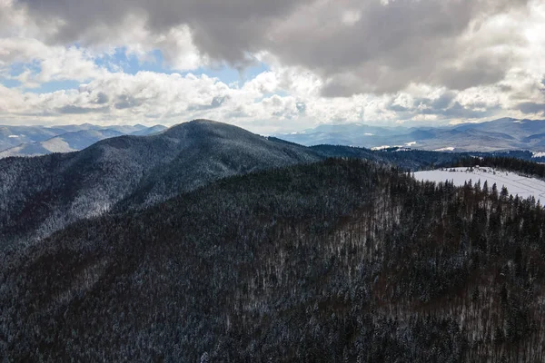 Зимовий Пейзаж Спринцювальними Деревами Сніжного Покривного Лісу Холодних Горах — стокове фото