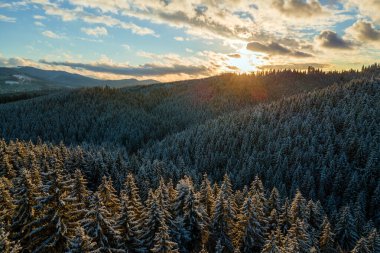 Akşamları soğuk dağlarda karla kaplı ormanlardan oluşan filizli karlı hava manzarası.